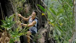 Les cités perdues d'Albert Lin  La cité fantôme du Pacifique