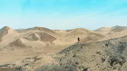 National Geographic en direct