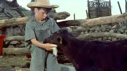 Sur Ciné+ Classic à 20h50 : Les clameurs se sont tues