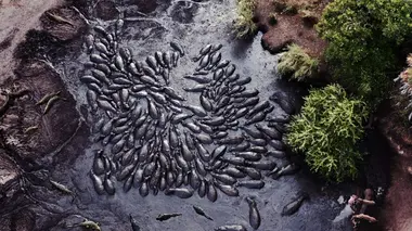 La fin de l'abondance