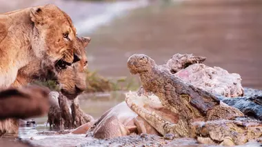 La grande sécheresse