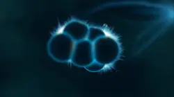 Visuel de Les clés de l'univers