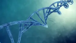 Les clés de l'univers  S04E05 A l'aube de la vie