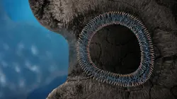 Les clés de l'univers