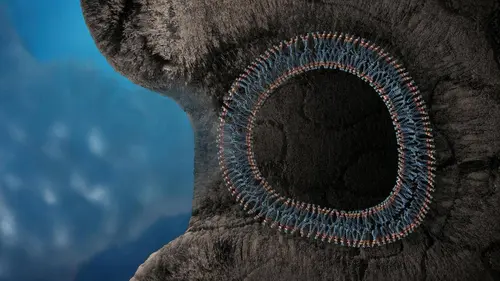 Les clés de l'univers S04E05 A l'aube de la vie