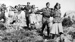 Visuel de Les collaborateurs des nazis