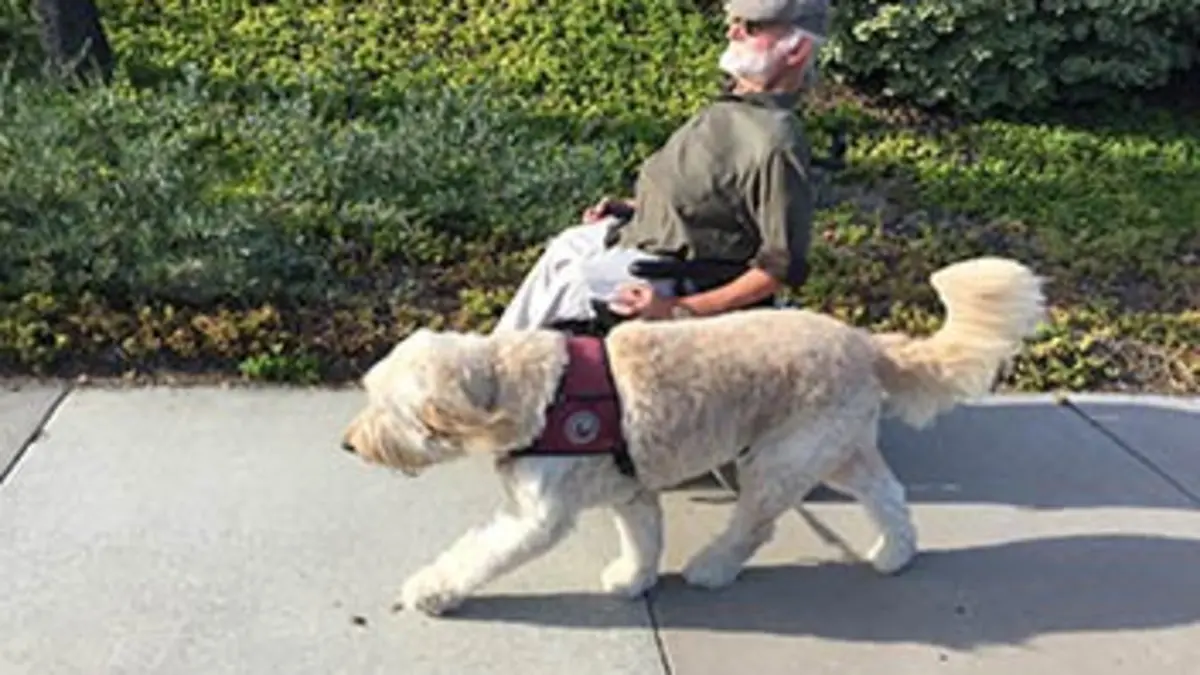 Les colliers de l'espoir S01E06 Max et Bella