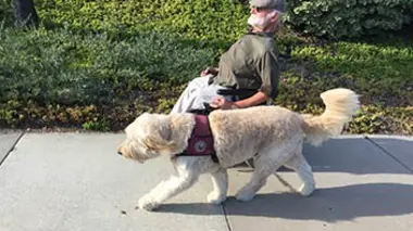 Captain Jack Sparrow et Tahoe