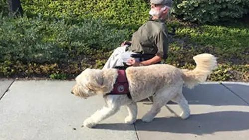 Les colliers de l'espoir S01E05 Annabelle et Zev