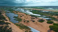 Les combattantes de la forêt
