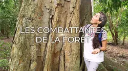 Les combattantes de la forêt