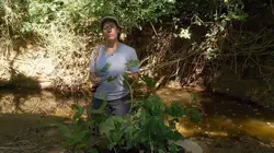 Les combattantes de la forêt