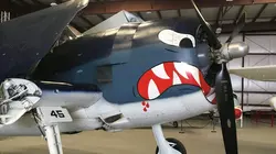 Visuel de Les combattants du ciel