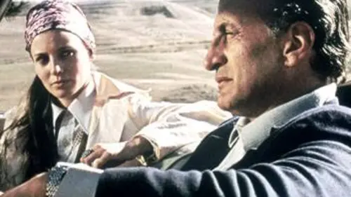 Les complices de la dernière chance