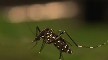 L'art de rester en vie