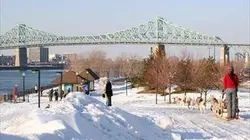 Visuel de Les conquérants du froid