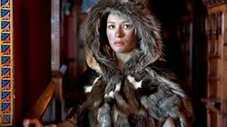 Les contes de Grimm Peau d'âne