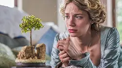 Les contes de Grimm L'arbuste qui chante