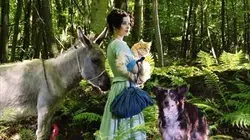 Les contes de Grimm Les musiciens de Brême