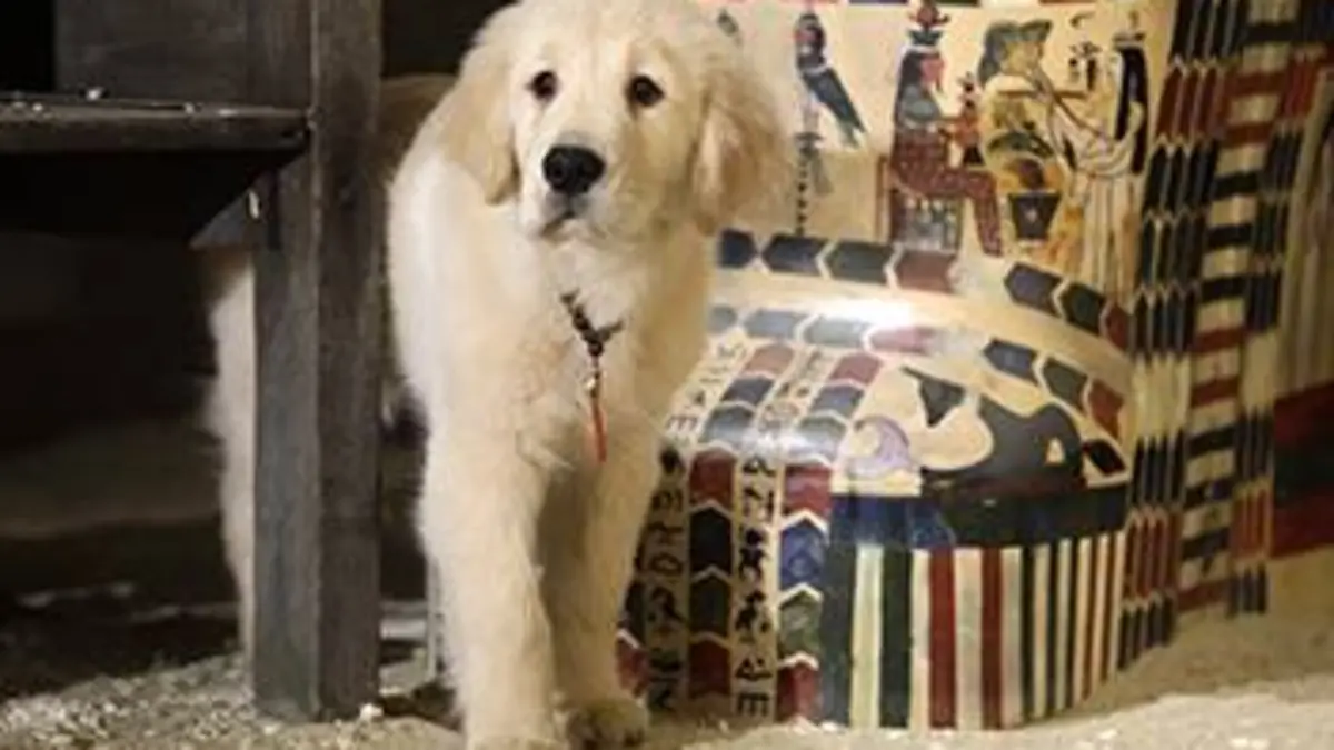 Les copains chasseurs de trésors