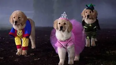 Les copains fêtent Halloween : la légende du chien maudit