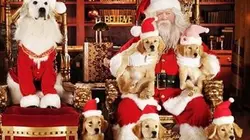 Les copains fêtent Noël