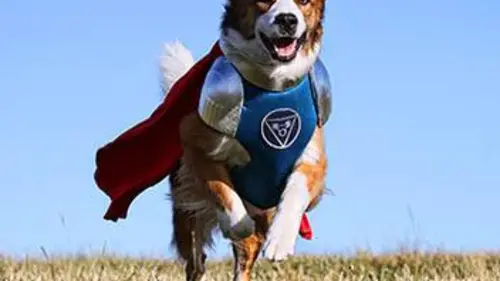 Les copains super-héros