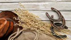 Les cordes de la potence