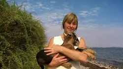 Les côtes de la Baltique E01 Le Danemark