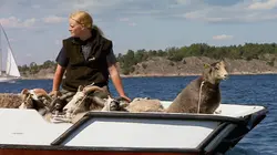 Les côtes de la Baltique