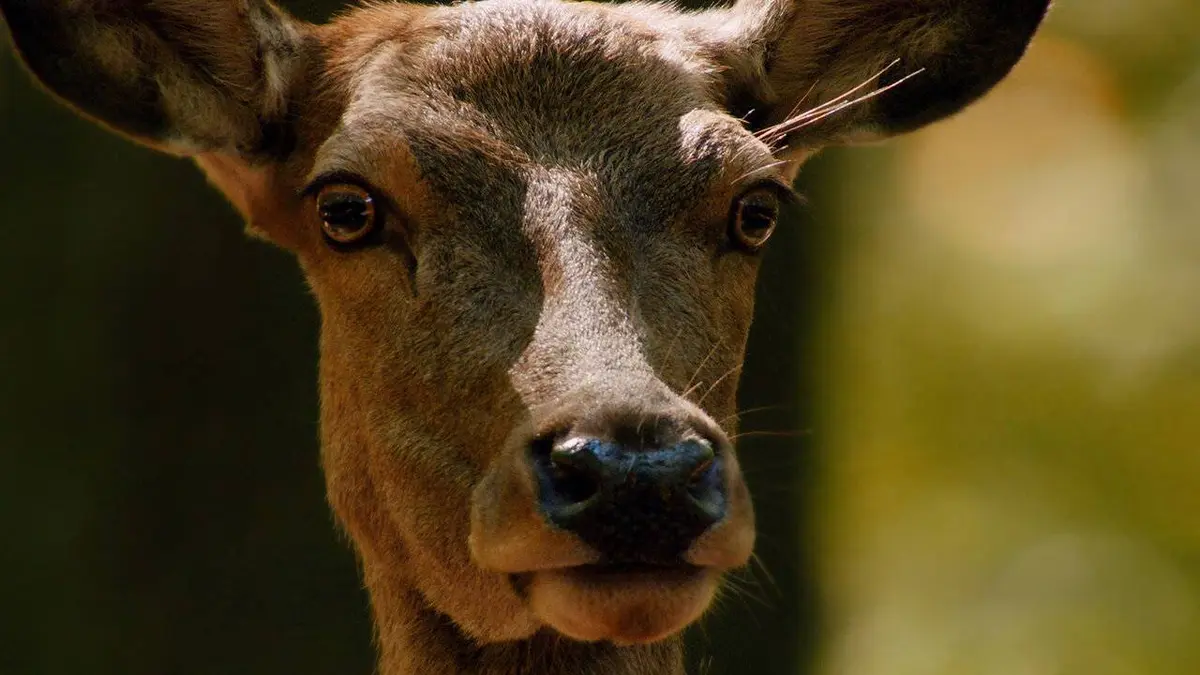 Les couleurs de l'automne