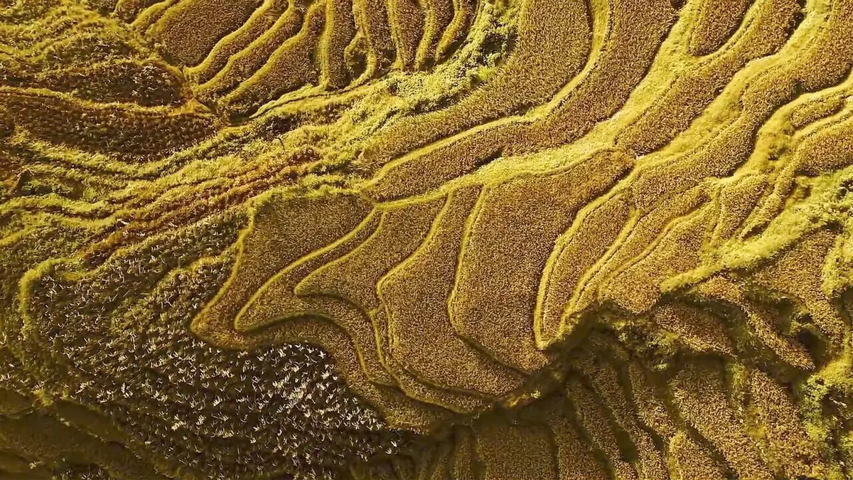 Les couleurs de la Chine Jaune, comme les empereurs, les dragons et le parfait équilibre