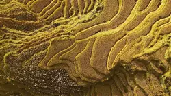 Visuel de Les couleurs de la Chine