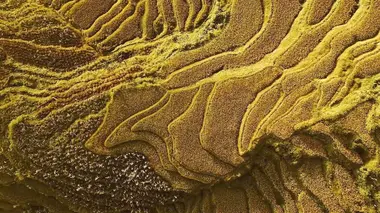Jaune, comme les empereurs, les dragons et le parfait équilibre
