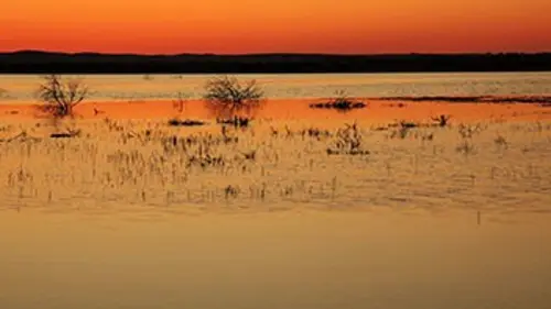 Les couleurs du désert E05 Jaune Sahara