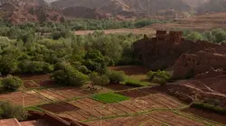Les couleurs du Maroc Vert