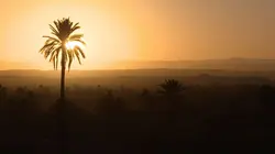 Les couleurs du Maroc Ocre