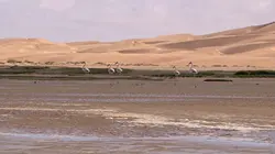 Les couleurs du Maroc Blanc