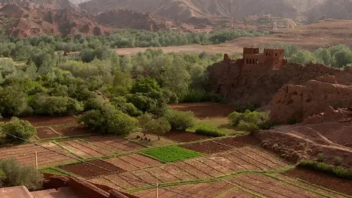 Les couleurs du Maroc Vert