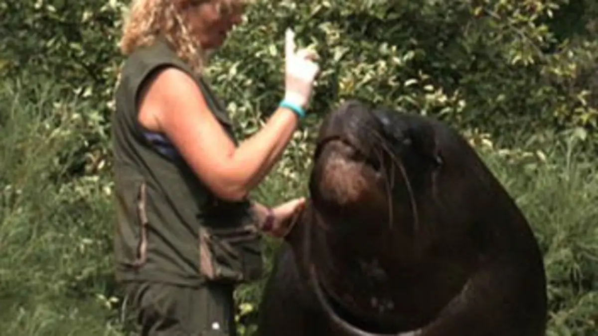 Les coulisses du plus beau zoo d'Europe