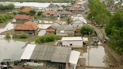 Visuel de Les damnés du climat