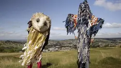Visuel de Les danses Morris : un art de vivre à l'anglaise