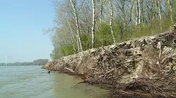 Visuel de Les débordements du Danube