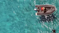 Les défis de la Grande Barrière de corail