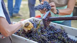 Les délices du Piémont