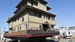 Visuel de Les déménageurs de l'extrême