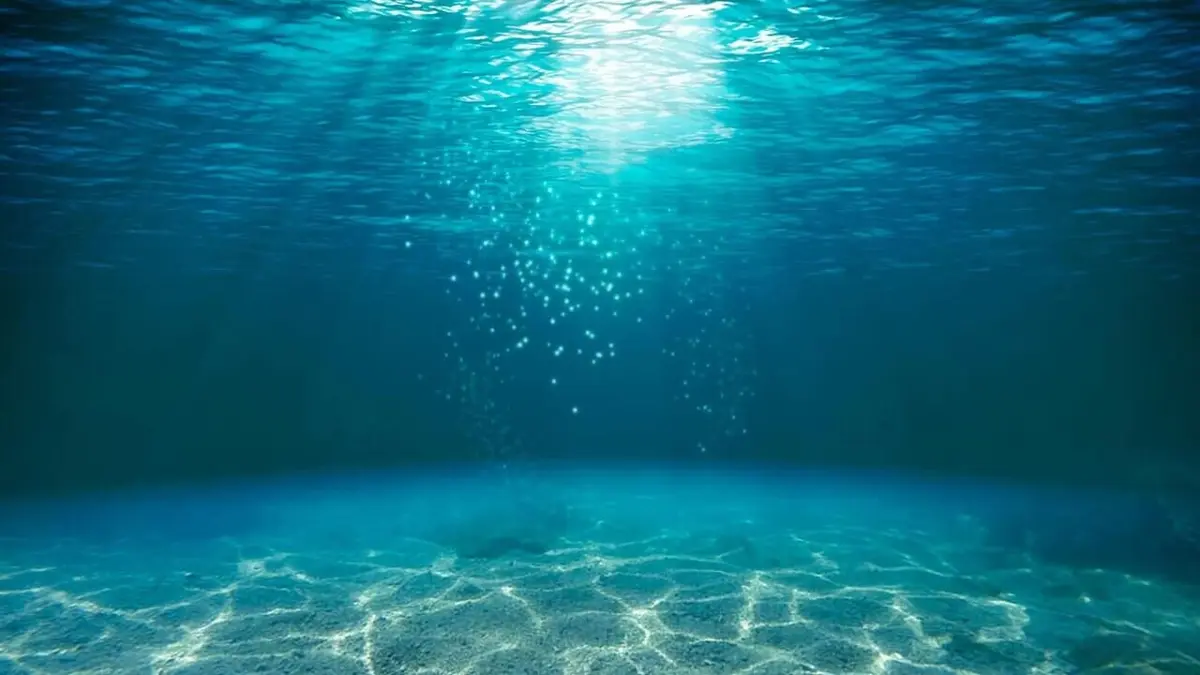Les dents de la mer, l'histoire d'un succès monstre
