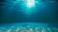 Les dents de la mer, l'histoire d'un succès monstre