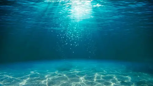 Casting Les dents de la mer, l'histoire d'un succès monstre