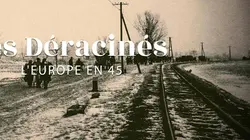 Les déracinés : l'Europe en 45